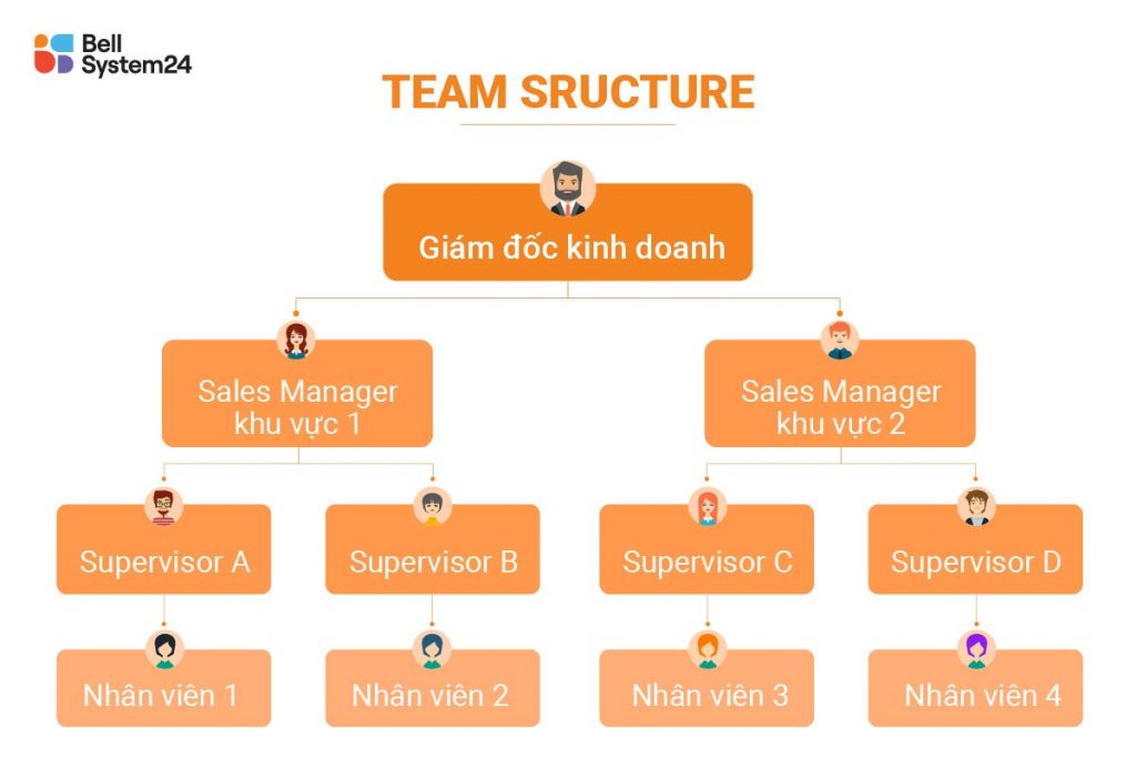 Team structure